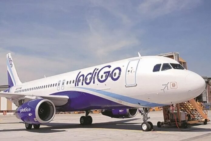 indigo-2.jpg
