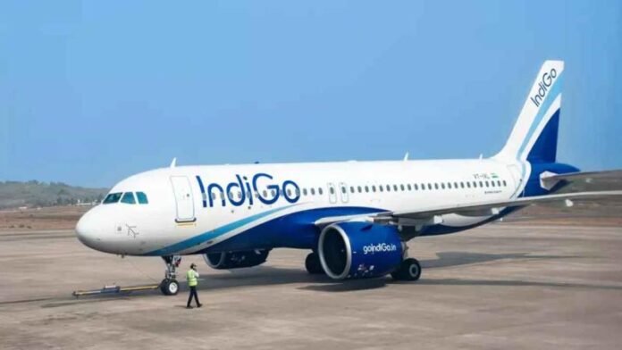 indigo_flights-1.jpg