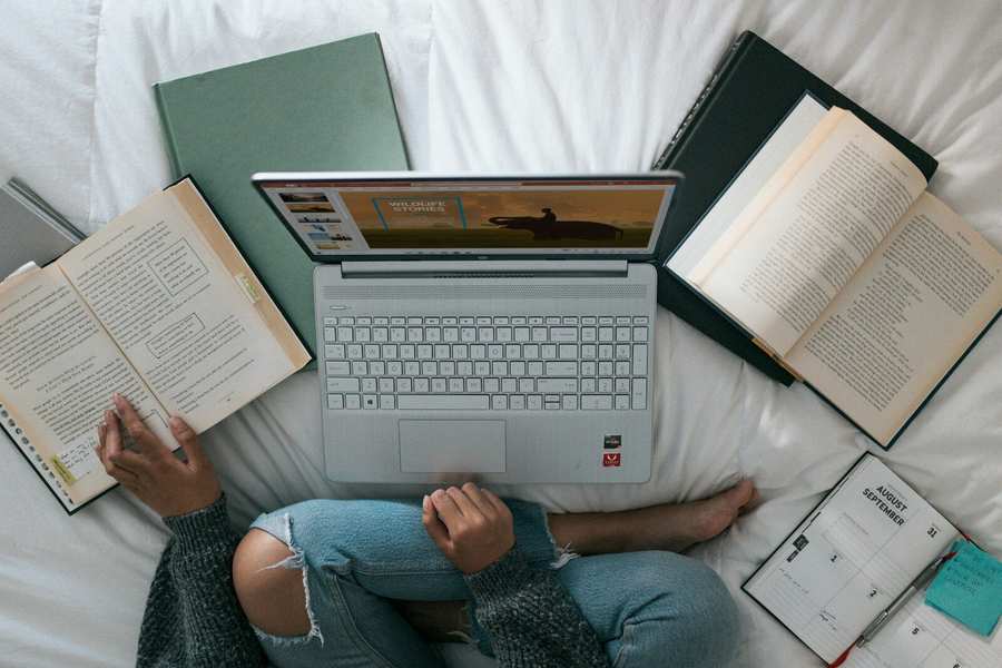 LMS Business Boom: Why 500-Course Turnkey Systems are the New Digital Gold Mine