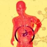 Gut Health Trends 2026: From Juice Cleanses to Microbiome-Brain Axis Optimization
