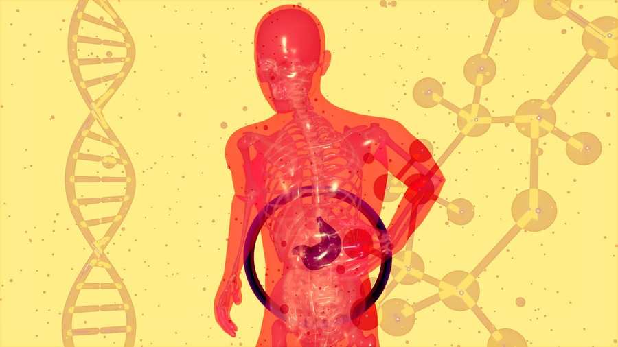 Gut Health Trends 2026: From Juice Cleanses to Microbiome-Brain Axis Optimization