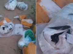 Suspected of conspiracy to attack in the country, RDX and weapons recovered from India-Pak border