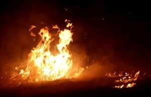 Two families destroyed in Gopalganj fire, mourning spread due to death of innocent Ankush and Misty