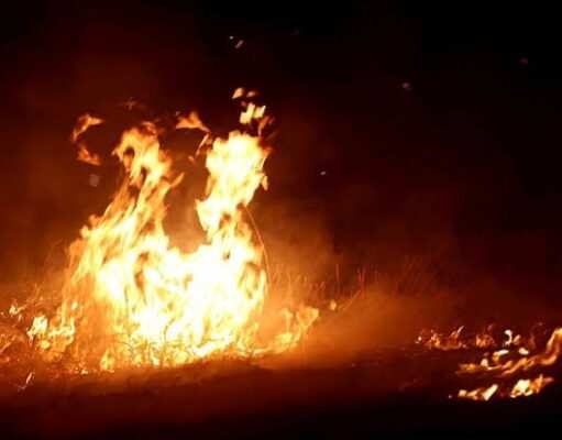 Two families destroyed in Gopalganj fire, mourning spread due to death of innocent Ankush and Misty